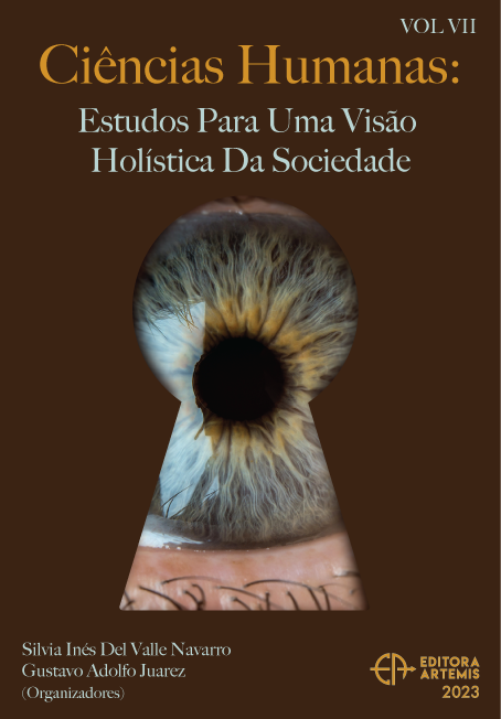 capa do ebook Ciências Humanas: Estudos para uma Visão Holística da Sociedade VII