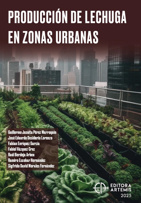 Producción de Lechuga en Zonas Urbanas